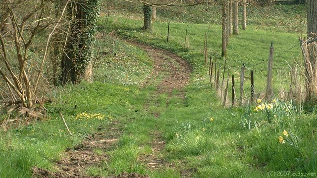 Sévis (Chemin)
