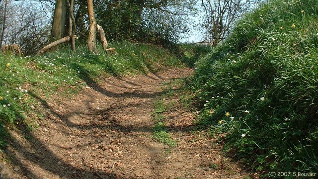 Sévis (Chemin)