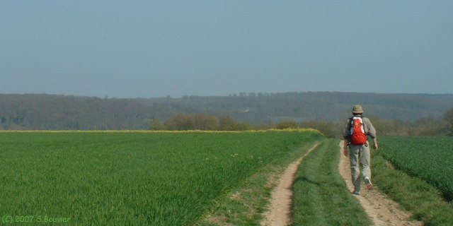 Rosay (Chemin)