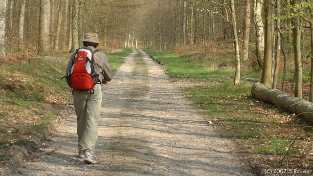 Forêt d'Eawy (Fond St Eienne)