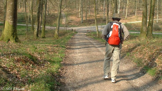 Forêt d'Eawy (Carrefour)