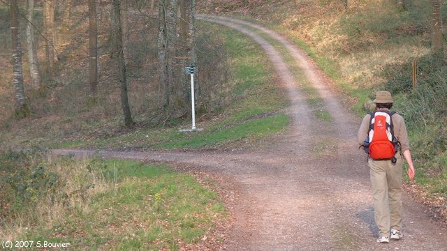 Forêt d'Eawy (Fourchet d'Orival 2)