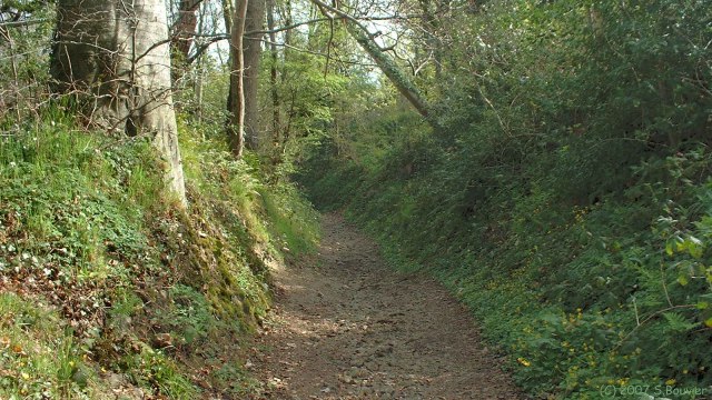 Auberville (Chemin 1)