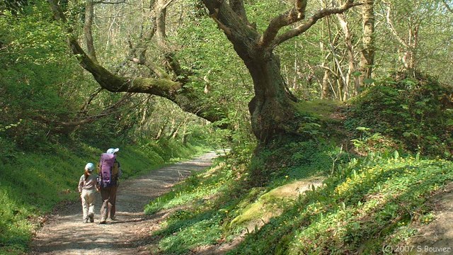 Houlgate (Chemin 1)