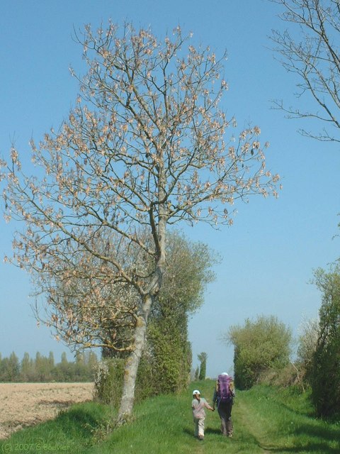 Merville Franceville (Chemin 2)