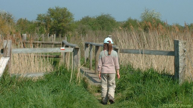 Sallenelles (Passerelle)