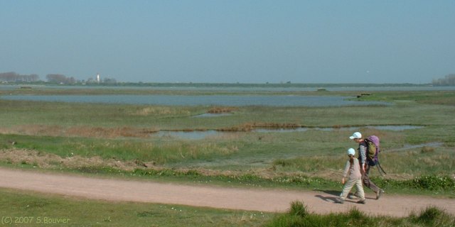 Sallenelles (Estuaire 3)