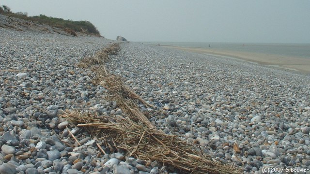 Cayeux sur Mer (Plage 1)