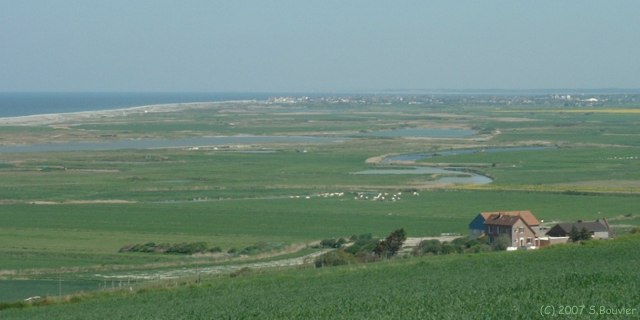 Woignarue (Marais 2)