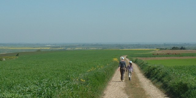 Woignarue (Chemin)