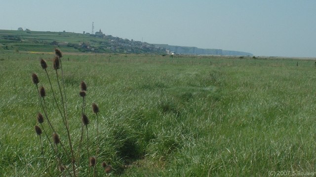 Woignarue (Marais 3)