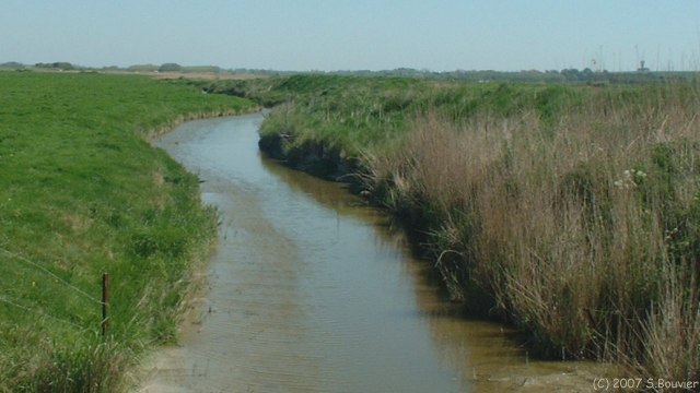 Woignarue (Marais 4)