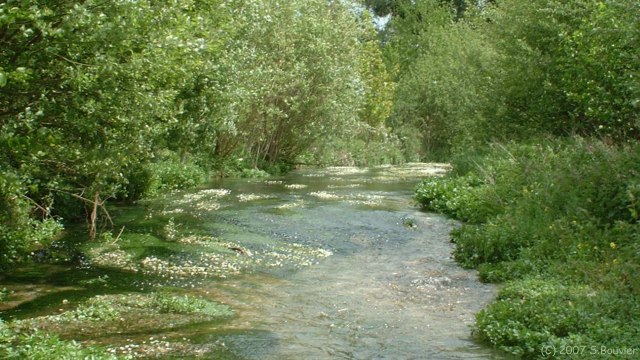 St Aubin le Cauf (Ruisseau)
