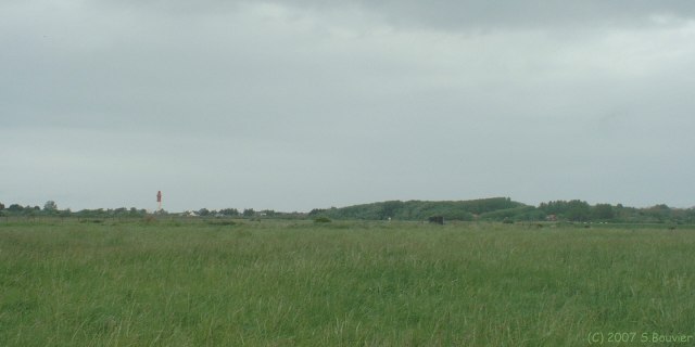 Cayeux sur Mer (Percher du Curé)