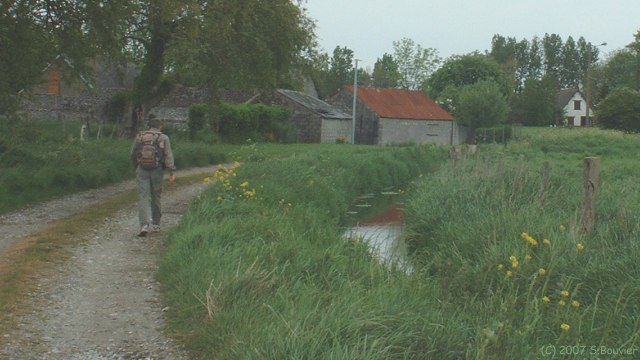 Cayeux sur Mer (Mollière de Terre)