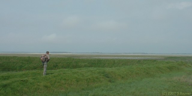 Lanchères (Digue 2)