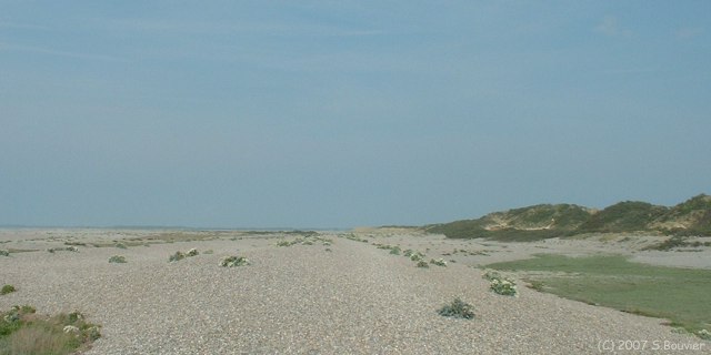 Cayeux sur Mer (Digue de Galets 2)
