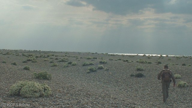 Cayeux sur Mer (Digue de Galets 3)
