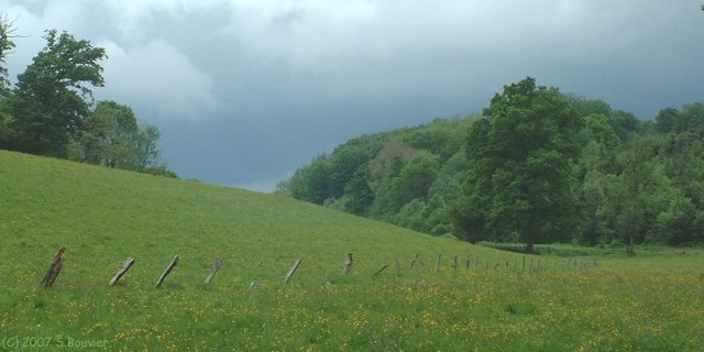 Sévis (Fond)