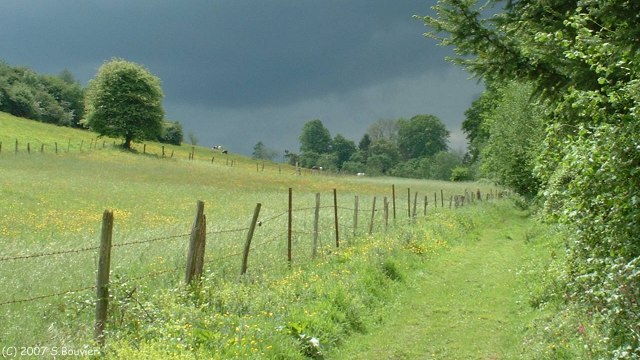 Cressy (Chemin 1)