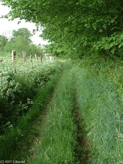 Cressy (Chemin 2)