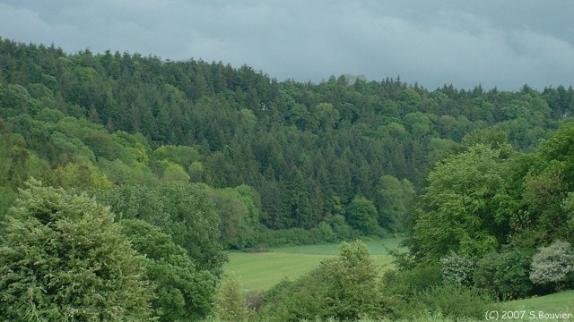 Sévis (Fond 1)