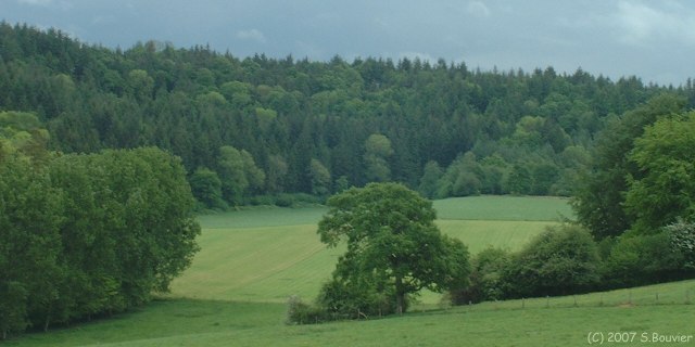 Sévis (Fond 2)