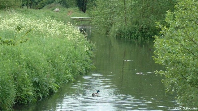 Ponthoile (le Dien 1)