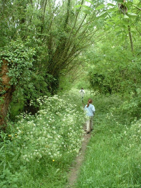 Ponthoile (Sentier)