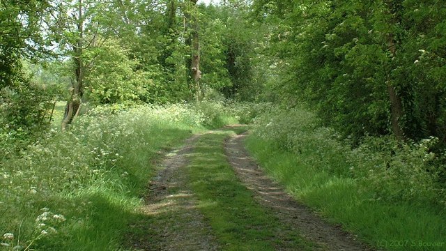 Ponthoile (Chemin 1)