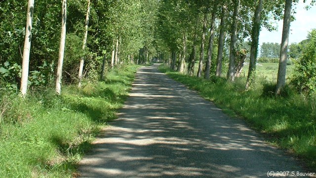 Boismont (Route)