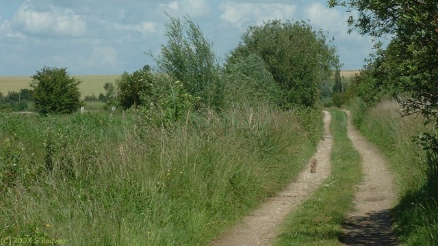 Noyelles sur Mer (Chemin 1)
