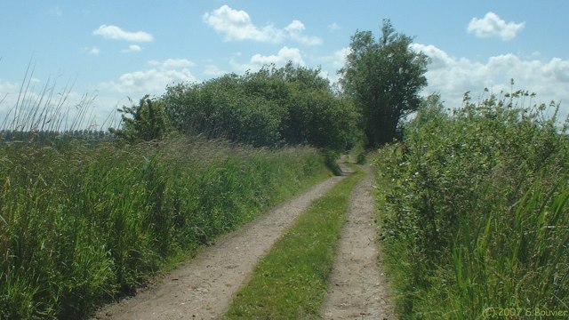 Noyelles sur Mer (Chemin 2)