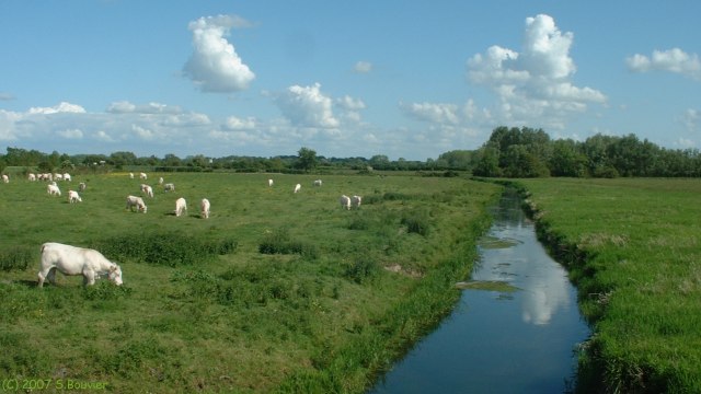 Ponthoile (le Dien)
