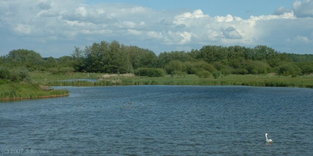 Ponthoile (Etang)