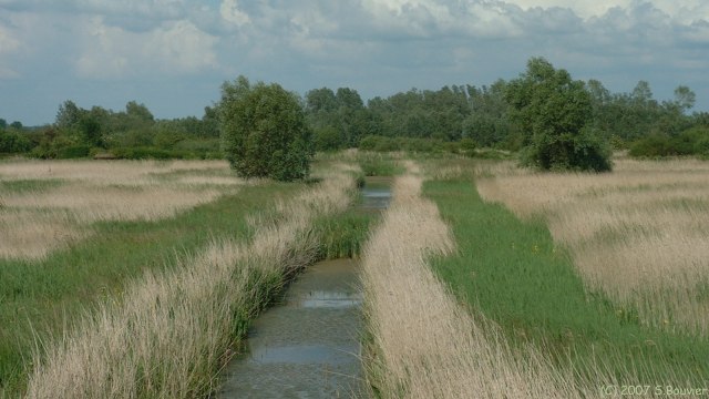 Noyelles sur Mer (Marais 1)