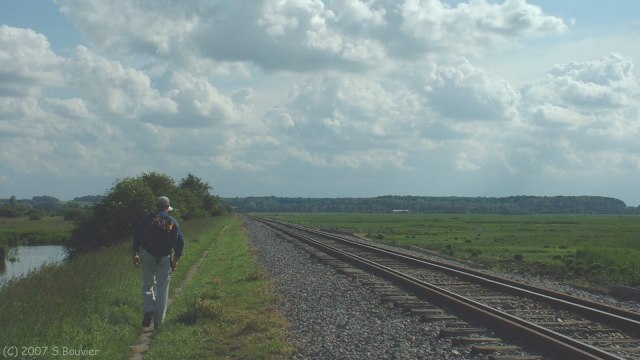Noyelles sur Mer (Sentier)