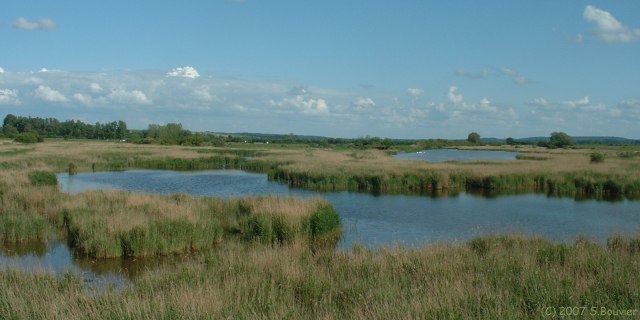 Noyelles sur Mer (Marais 2)