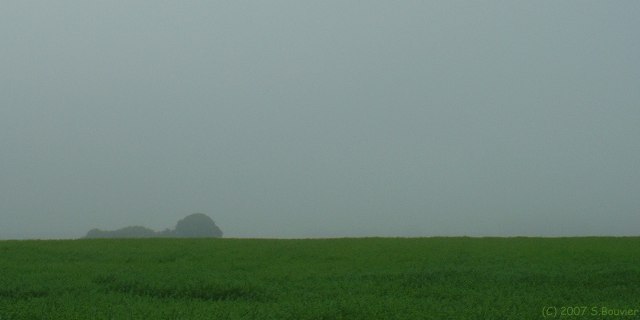 Cany Barville (Plaine)