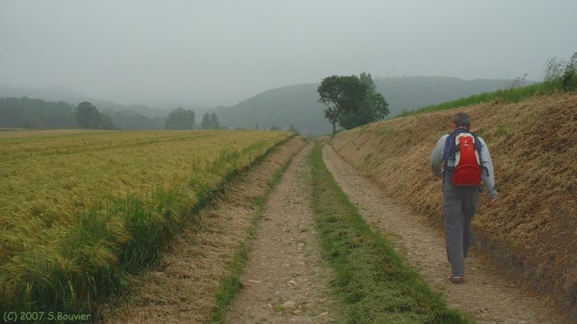 Grainville la Teinturière (Côte 2)