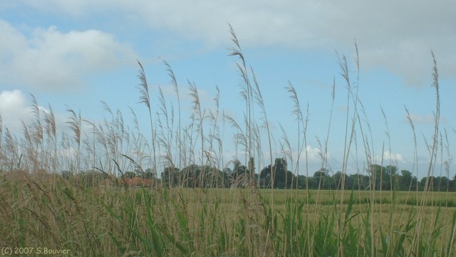 Favières (Bas Prés)