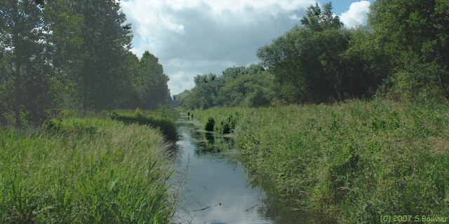 Rue (Canal 1)