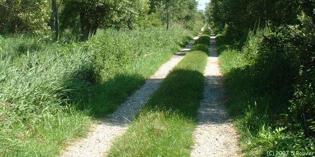 Rue (Chemin)