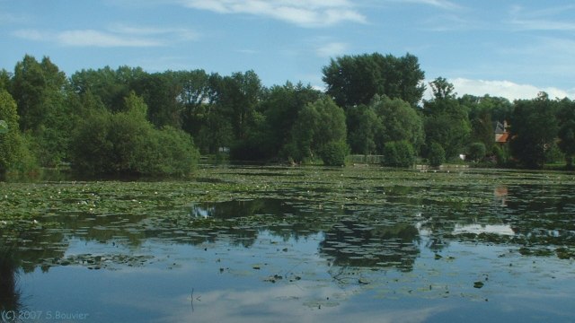Bray les Mareuil (Etang)