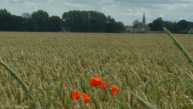 Héberville (Plaine)