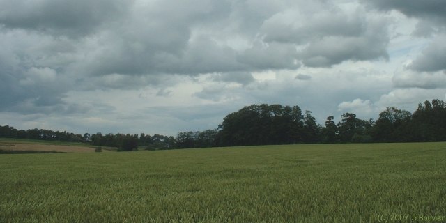Bourville (Plaine)