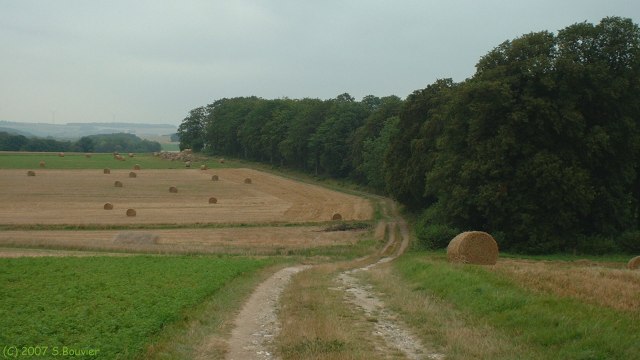 Hallencourt (Chemin)