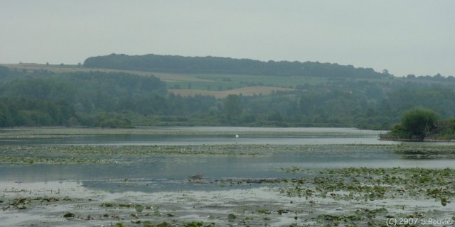 Fontaine sur Somme (Etang)