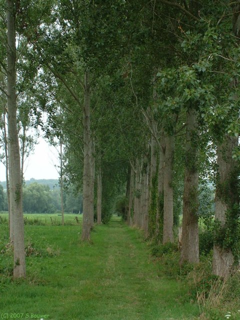 Fontaine sur Somme (Chemin 1)