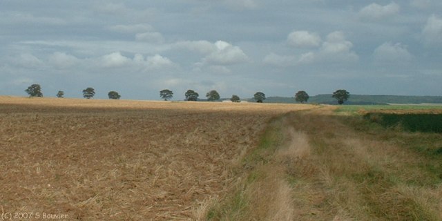 Tilloy lès Conty (Plaine)